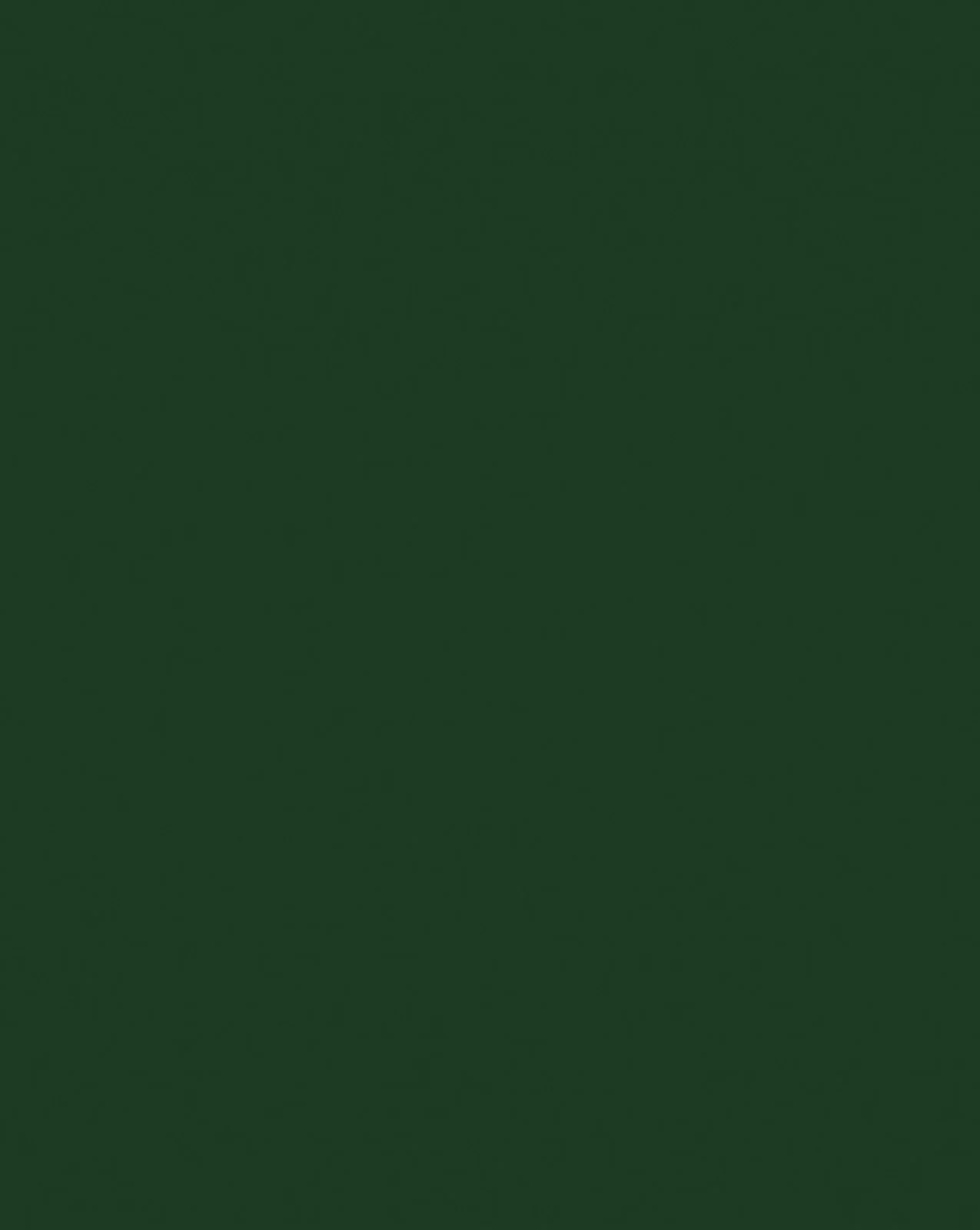 Green Forest F648