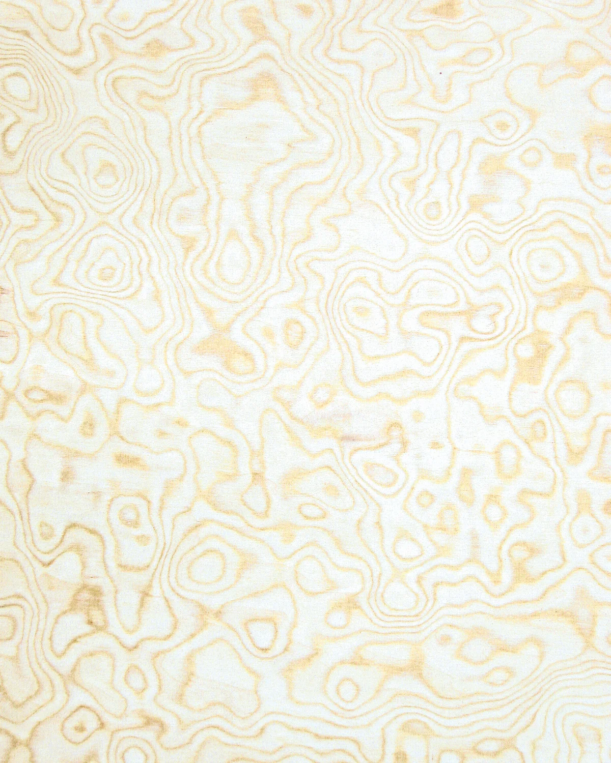 Aspen Burl