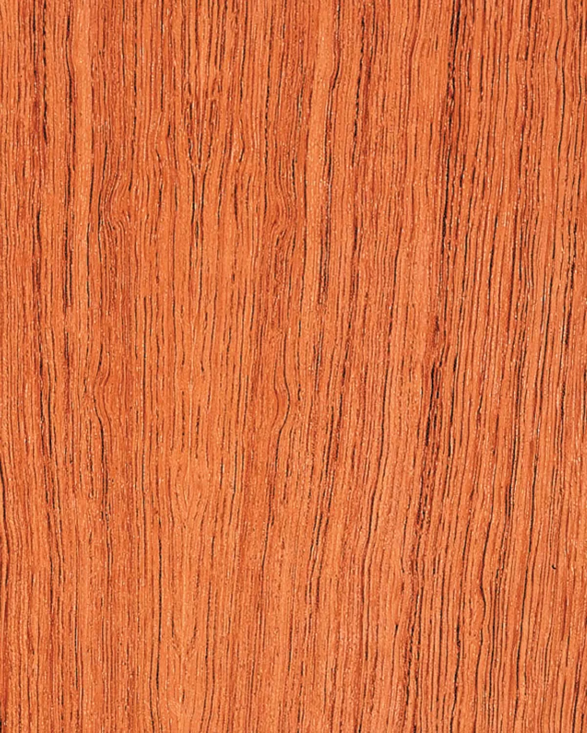 Bubinga FC