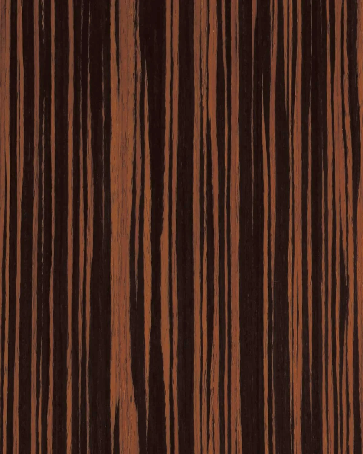 Recon Ebony