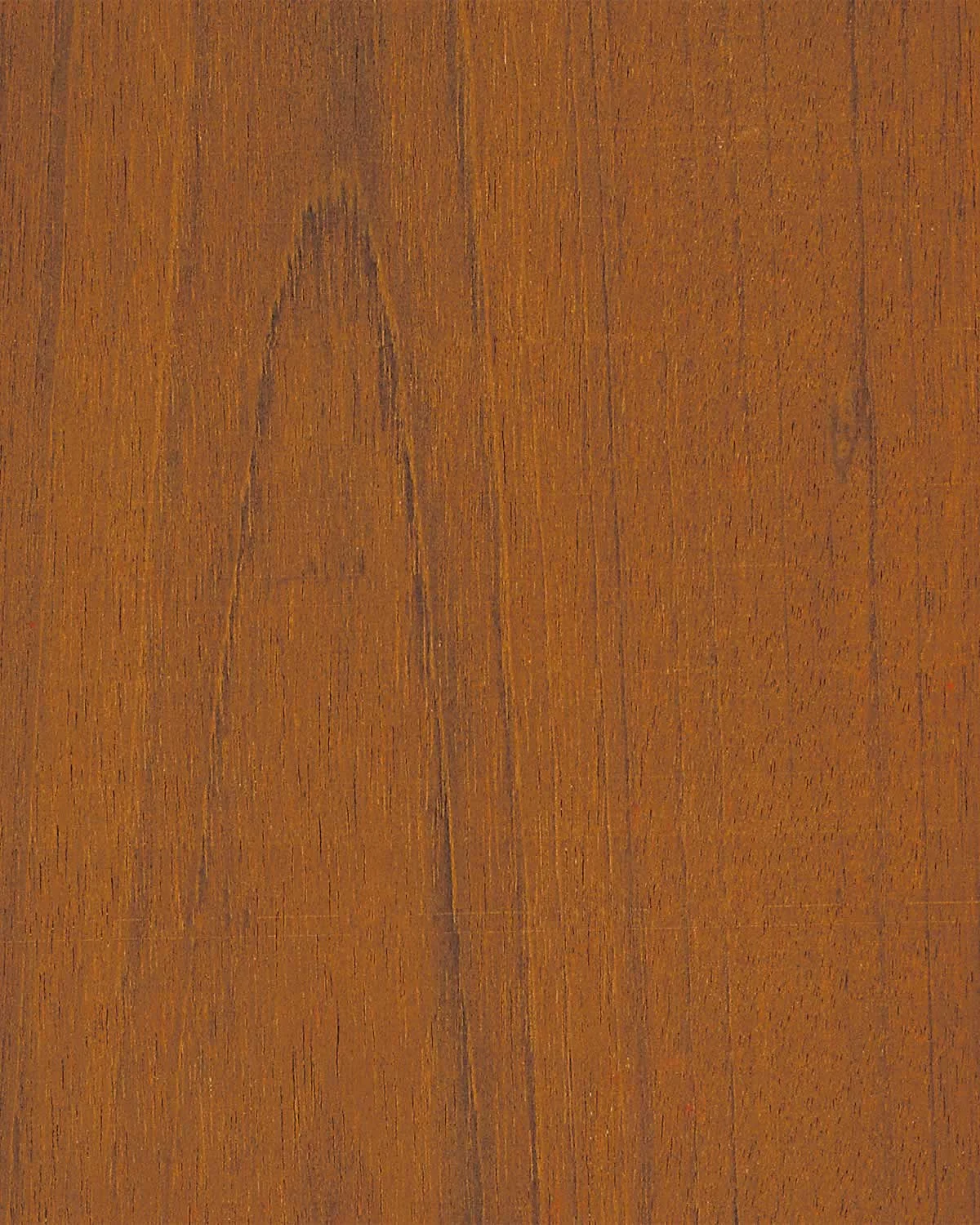 Jatoba FC