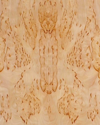 Karelian Birch Burl