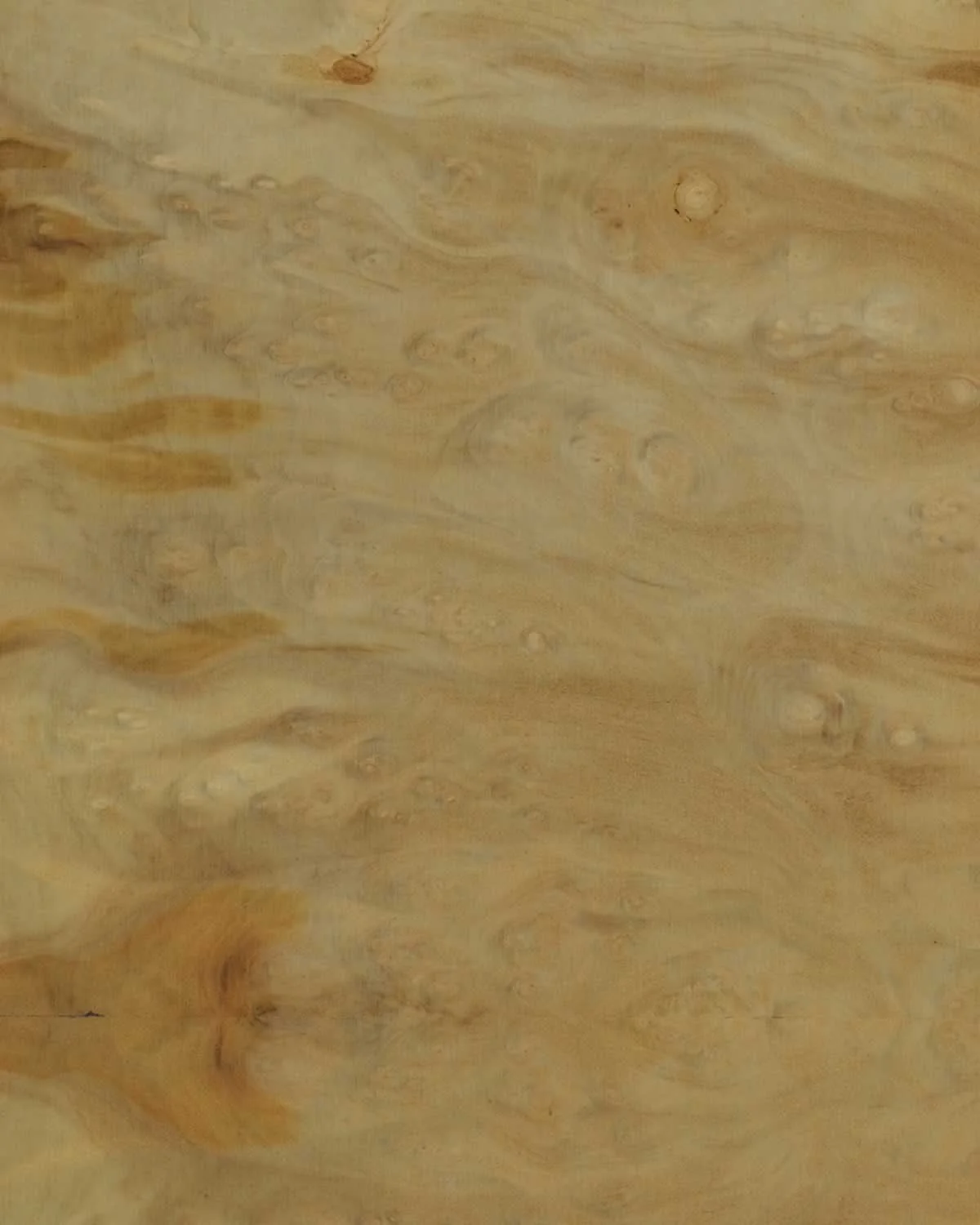 Laurel Burl