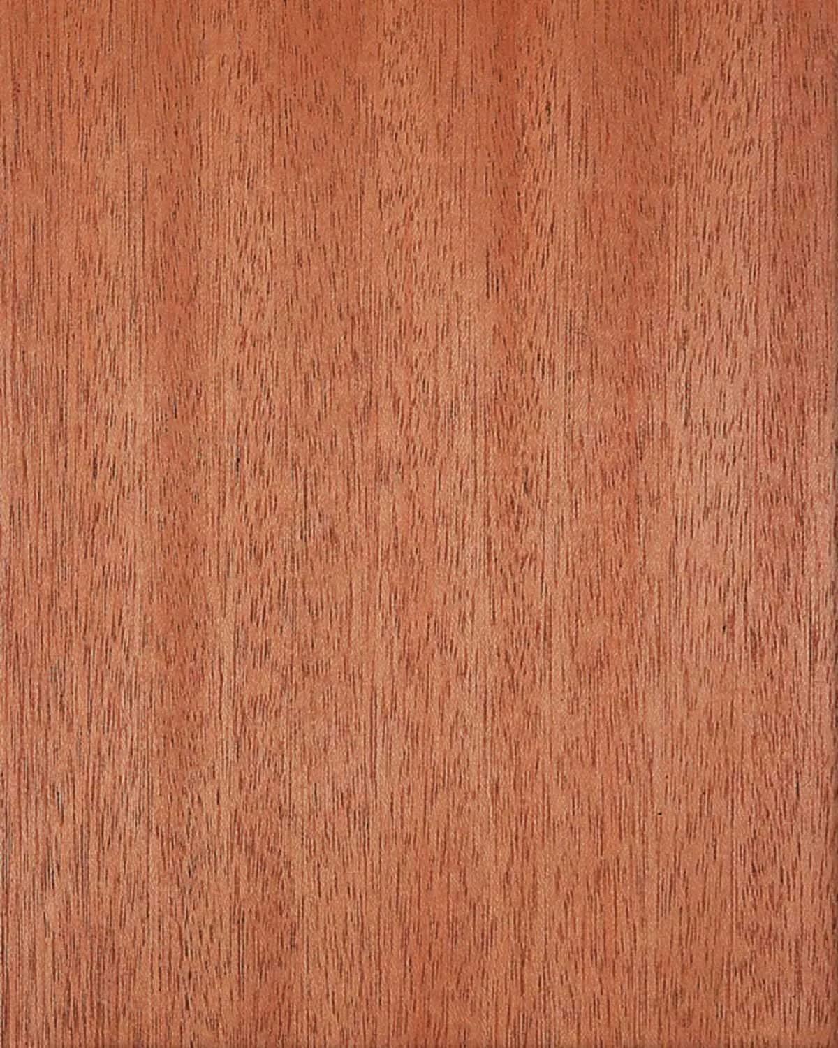 African Mahogany QC