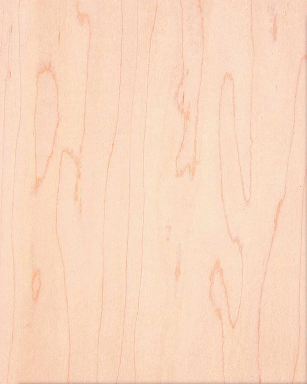 Maple RC