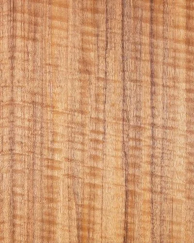 Mutenye