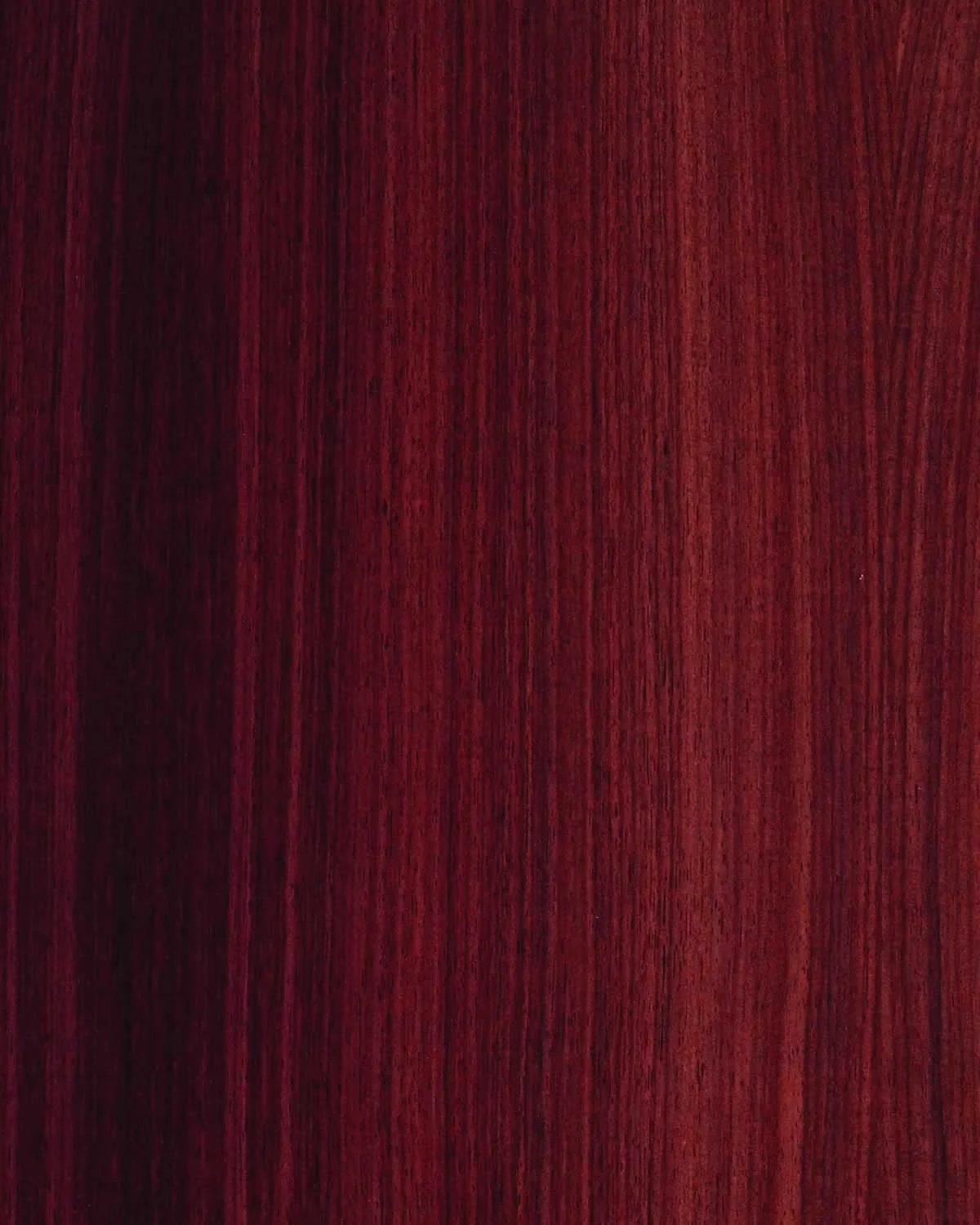 Indian Rosewood QC