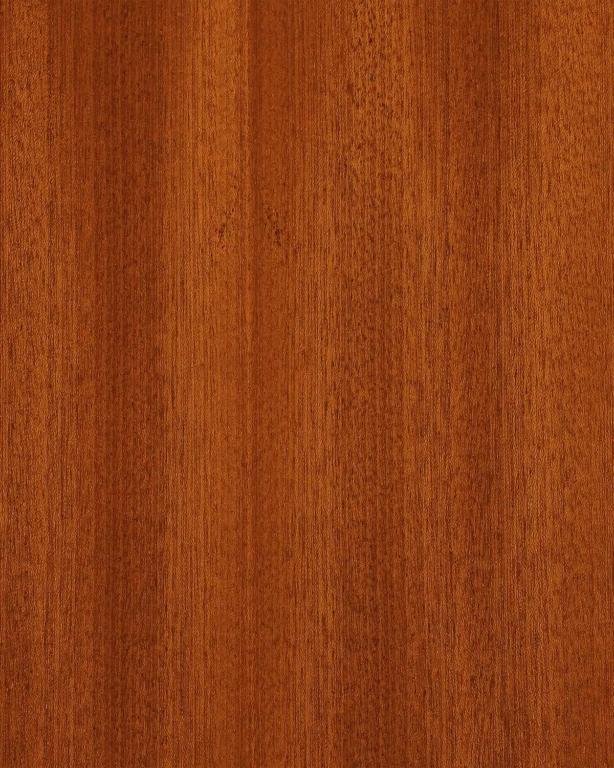 Sapele QC