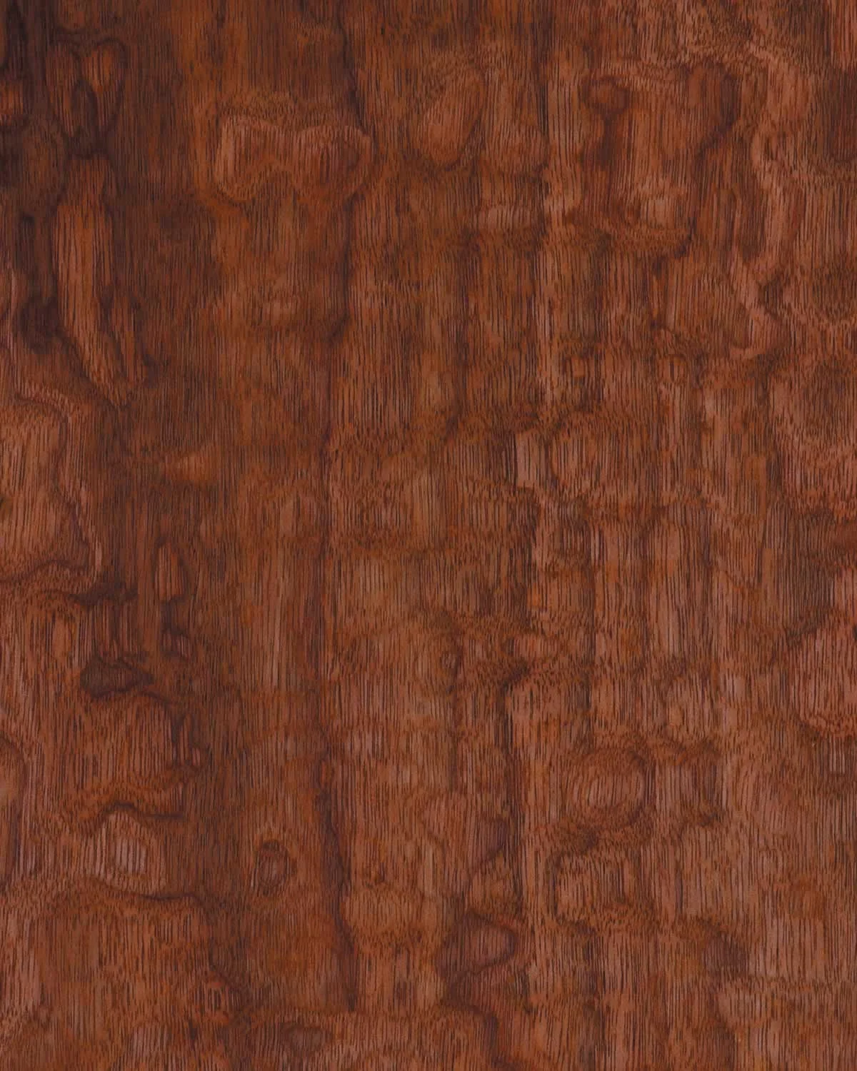 Walnut Pommele 