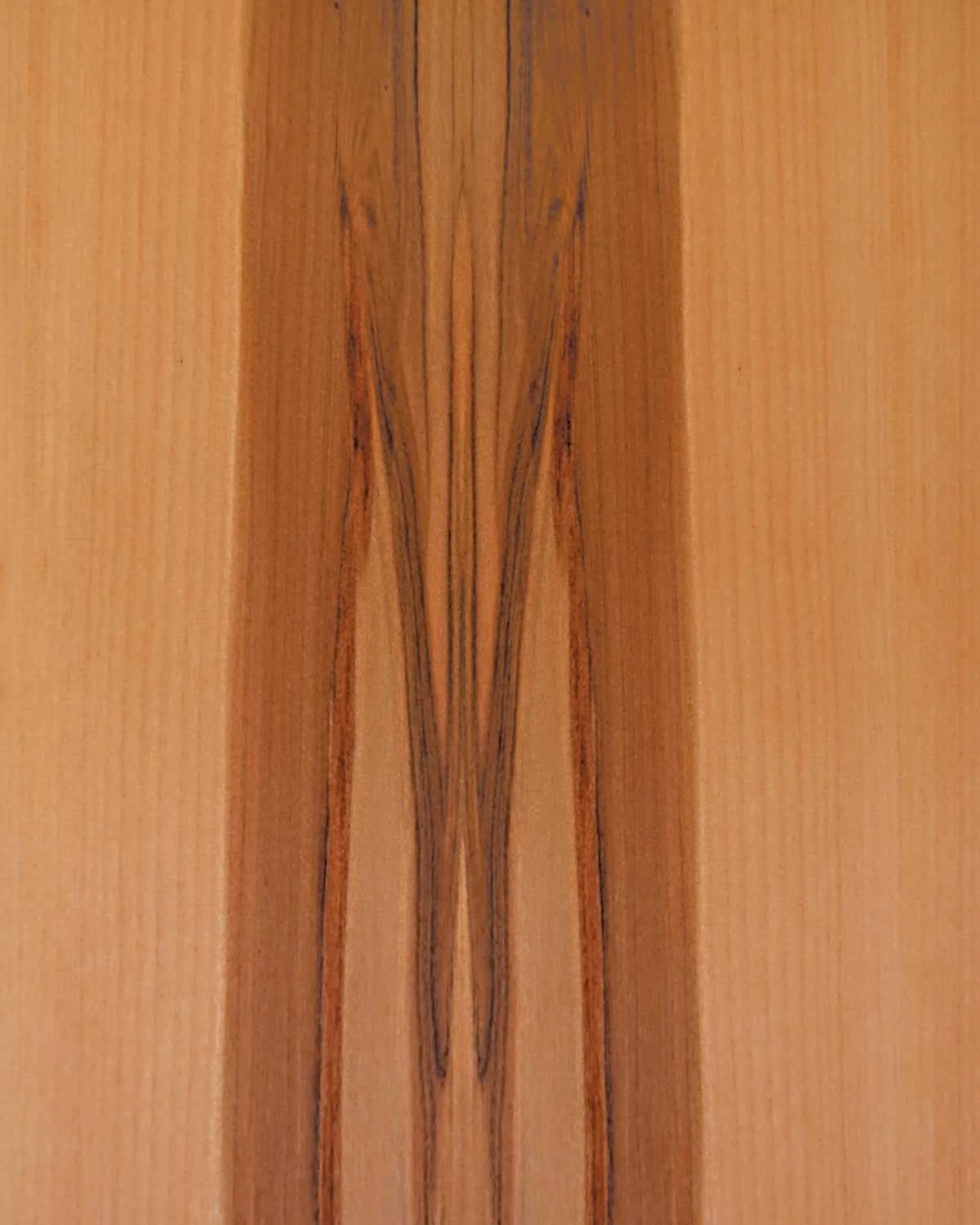 Sappy Walnut 